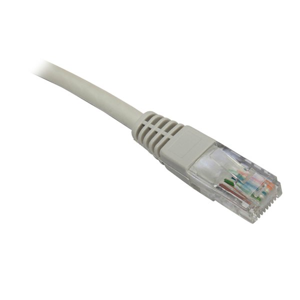XCASE CAUTP5150  P